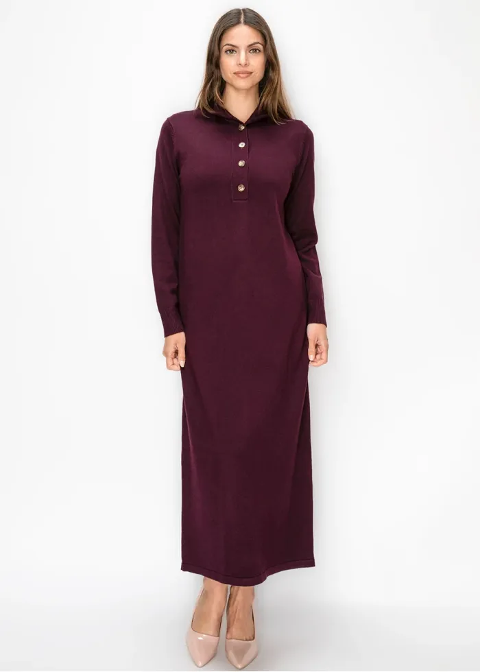 Burgundy Collared Sweater Dress