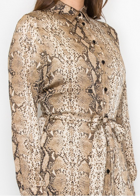 Brown Snake-Print Long Sleeve Dress