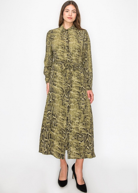Green Snake-Print Button-Up Dress