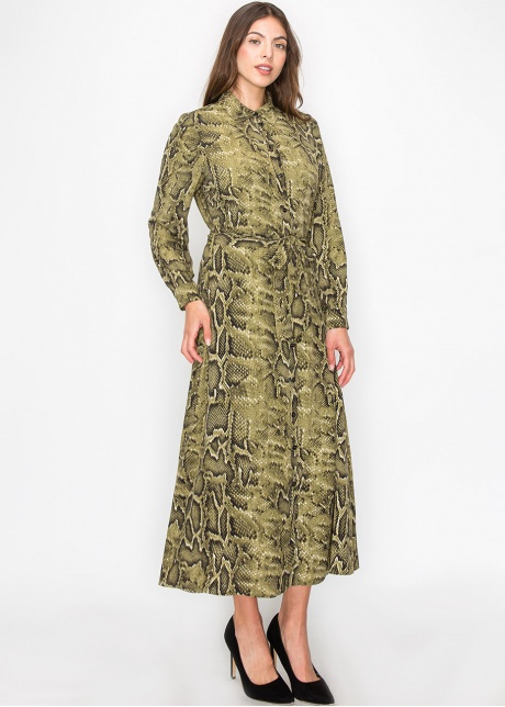 Green Snake-Print Button-Up Dress