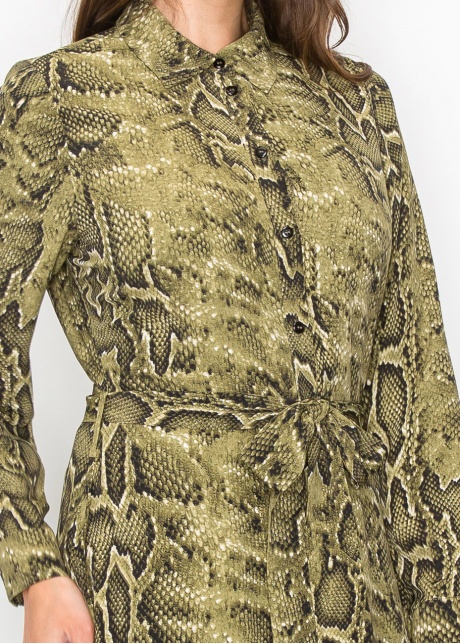 Green Snake-Print Button-Up Dress
