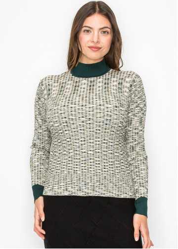 Multi-Tone Knit Sweater with High Neck