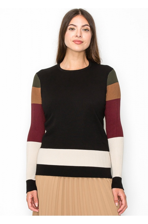 Multicolor Sleeve Crewneck Top