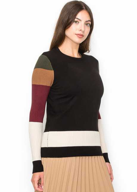 Multicolor Sleeve Crewneck Top