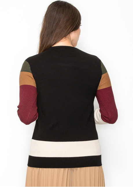 Multicolor Sleeve Crewneck Top