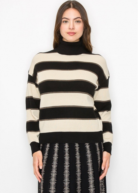 Black and Cream Striped Pullover with Turtleneck