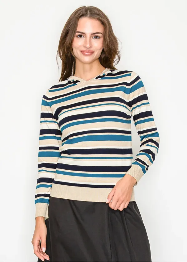 Striped Knit Hoodie in Blue and Beige