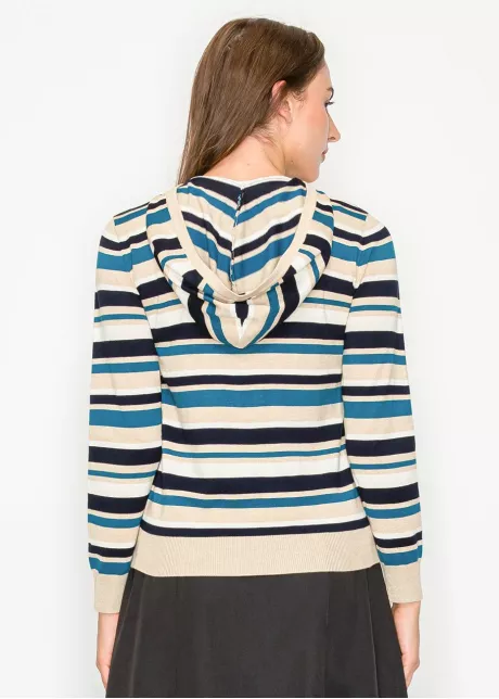 Striped Knit Hoodie in Blue and Beige