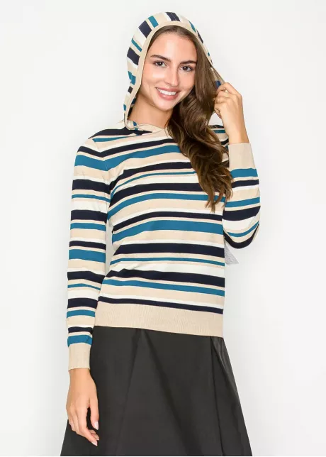 Striped Knit Hoodie in Blue and Beige