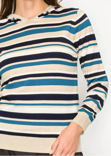 Striped Knit Hoodie in Blue and Beige