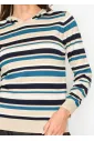 Striped Knit Hoodie in Blue and Beige