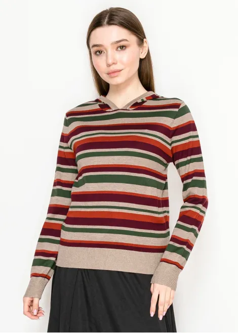 Colorful Striped Pullover Hoodie Knit