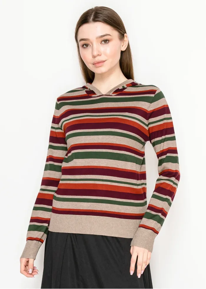 Colorful Striped Pullover Hoodie Knit
