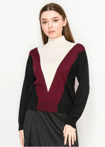 Colorblock V-Panel Turtleneck Sweater