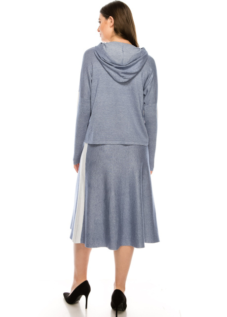 Blue and White Skirt With Stripe Detail