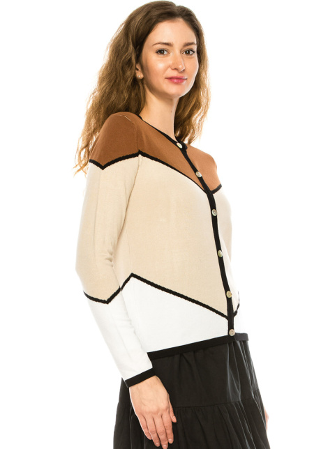 Color Block Buttoned Cardigan