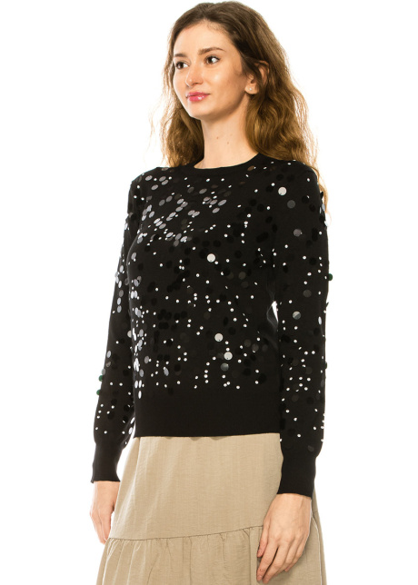 Crew Neck Sequin Sweater in Black