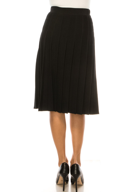 Fixed Box Pleated Skirt in Black