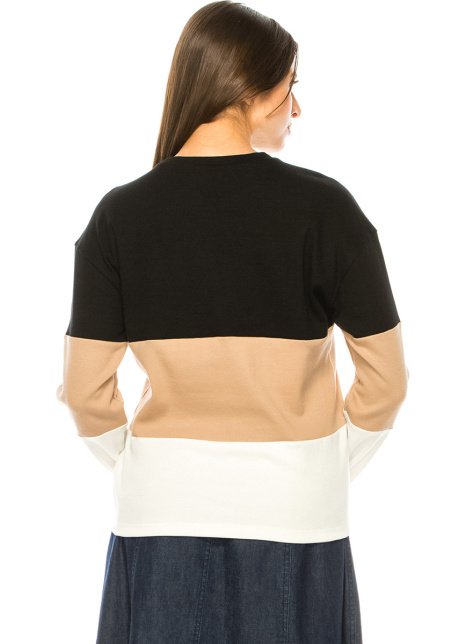 Color Block Long Sleeve Top