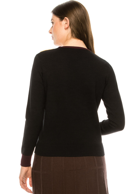 The "V-Neck" Sweater