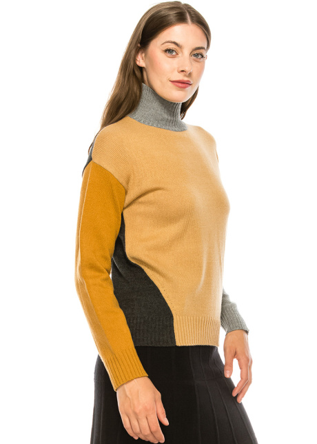Color Block Turtleneck
