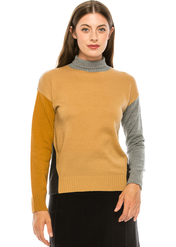 Color Block Turtleneck