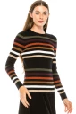 Multi-colored striped sweater
