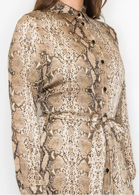 Brown Snake-Print Long Sleeve Dress
