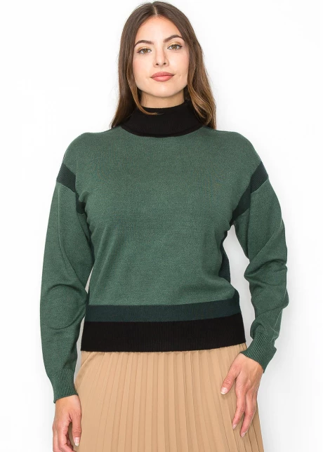 Two-Tone Turtleneck Pullover