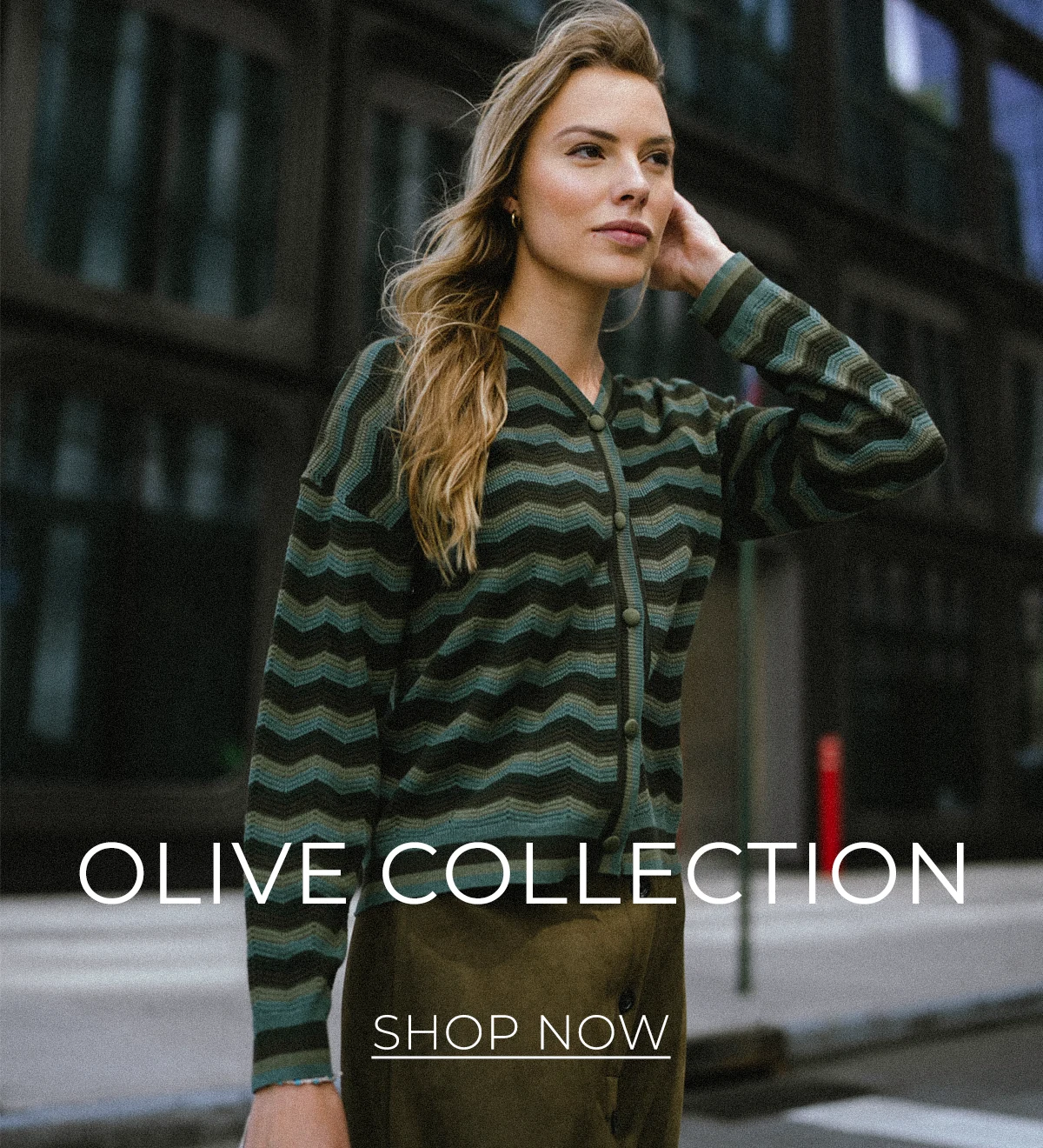 olive-collection